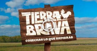 Tierra Brava Capitulo 8 Video | Telemundos Tv